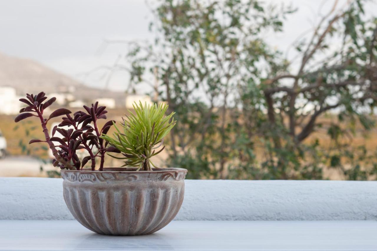 Arcana Santorini Villas, An Authentic Cycladic Experience Akrotiri  Ngoại thất bức ảnh